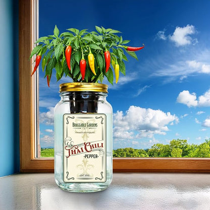Mason Jar Hydroponic Thai Chili Pepper Grow Kit – Indoor Countertop Garden – Grow Fresh Spicy Peppers at Home – Self Watering Jar Planter with Nutrients & Seeds
