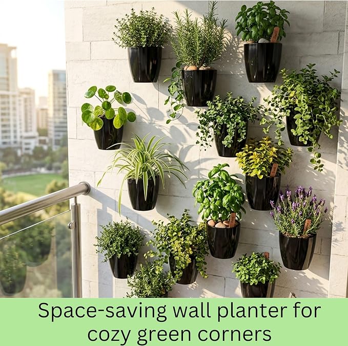 LaLaGreen Wall Planters for Indoor Plants (5in, 10 Pack) Small Planter | Black Self Watering Pots Modern Indoor Hydroponic Vertical Live Garden Wall Mounted Hanging Plant Holder