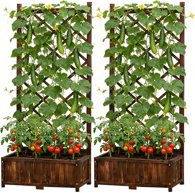 Anraja Raised Garden Bed with Trellis Wooden Flower Standing Planter Box Set of 2 Outdoor Wood Compact Lattice Panels Privacy Screen for Climbing Plant Patio Tomato Vegetable Herb Balcony Porch 67" H