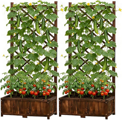 Anraja Raised Garden Bed with Trellis Wooden Flower Standing Planter Box Set of 2 Outdoor Wood Compact Lattice Panels Privacy Screen for Climbing Plant Patio Tomato Vegetable Herb Balcony Porch 67" H