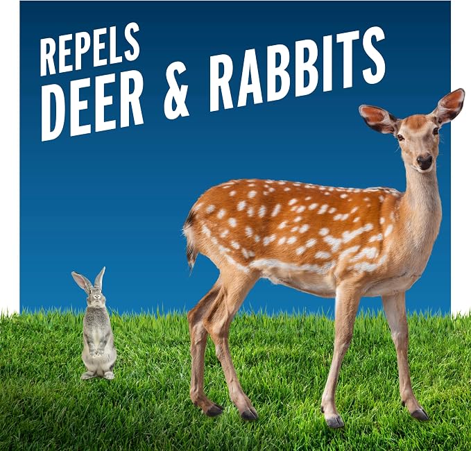 Liquid Fence Deer And Rabbit Repellent Ready-To-Use, Apply Year-Round, 1 Gallon
