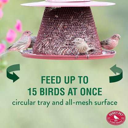 Perky-Pet Red Cardinal Wild Bird Feeder-2.5 lb Seed Capacity,Holds Up to 15 Birds Simultaneously,Metal Hanging Feeder for Outdoors,Collapsible Mesh Design,Built-In Hook&Circular Tray,C00322(Pack of 6)