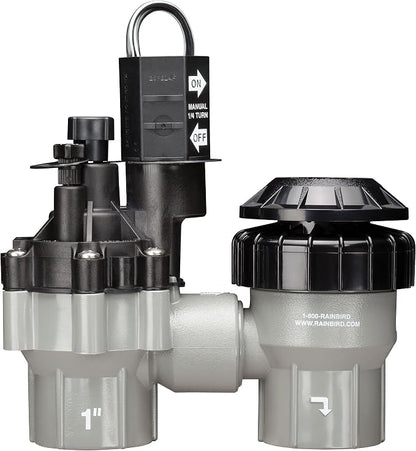 Rain Bird DASASVF100 Professional Grade Anti-Siphon Valve with Flow Control, 1" Threaded Female x Female