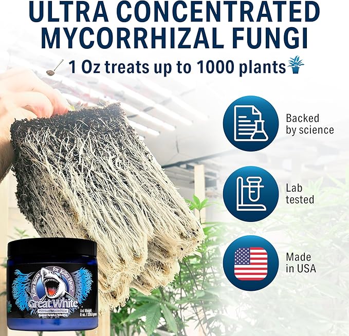 Great White Mycorrhizal Fungi 4 oz, Beneficial Bacteria for Plant Growth, Root Stimulator, Concentrated 3-in-1 Formula by Plant Success