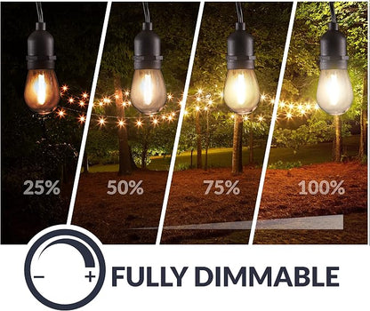 Newhouse Lighting LED String Lights with Weatherproof Technology, Dimmable with Wireless Remote Control, 48ft and 16 (15+1 Free) LED Light Bulbs Included, Black (CSTRINGLEDDIM)