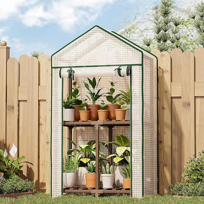 Bamworld Mini Greenhouse Indoor Small Portable 2-Tier Green House for Seed Starting Plant Grow Warmer and Home Gardening Display