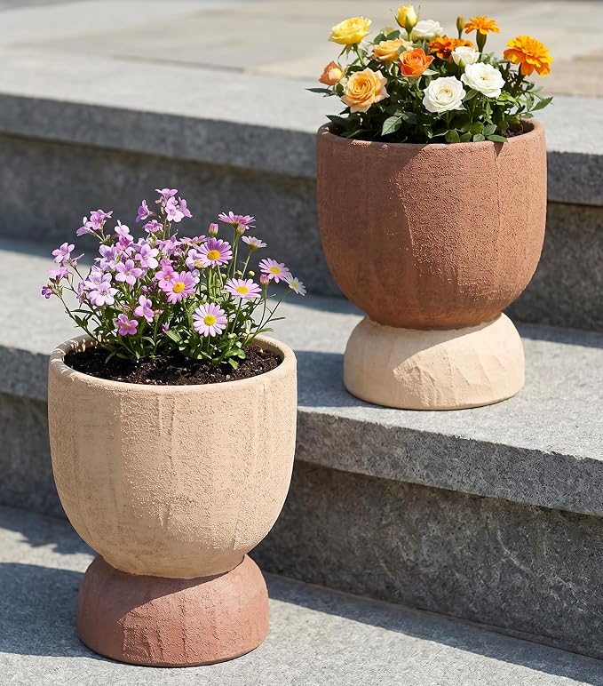 DREAMLOOM 2Pcs Flower Planters with Holes, 6.4Inch Classic Vintage Terracotta & Coarse-Grained Pots for Succulents, Bonsai, Cactus Aloe, Herbs, Orchid