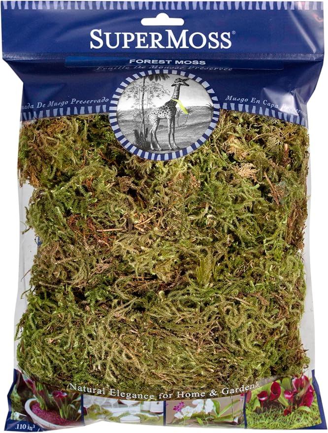 SuperMoss (21576) Forest Moss - Long-Lasting Natural Moss for Indoor Plants, Crafting, and Home Décor, 120 cu in, Dried