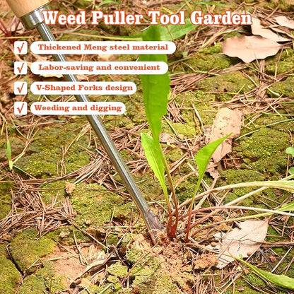 Wooden Handle Dandelion Weeder Tool - Polished Stainless Steel Dual - Forked Head Dandelion Weeder Puller Tool for Planting, Weeding, Flower & Vegetable Care with Nylon Nitrile Coated Gloves
