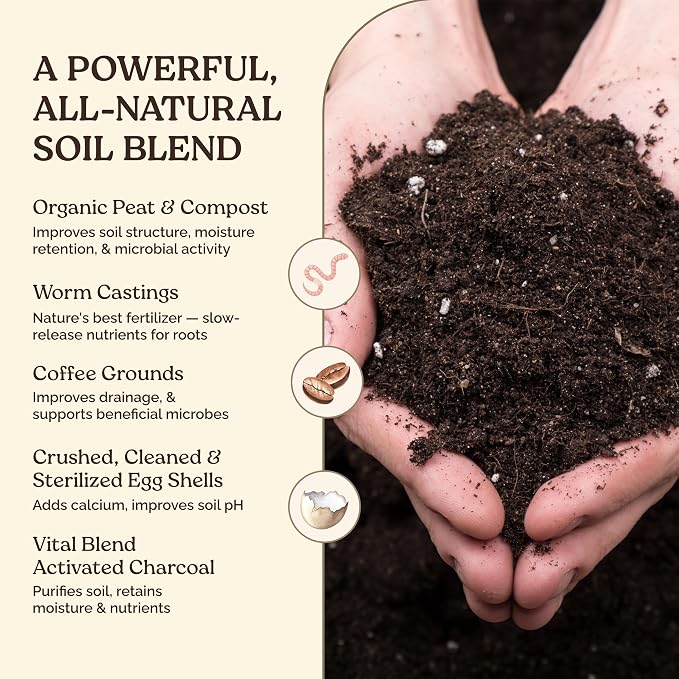 Garden Soil Supplement Mix, Potting Soil Outdoor Plants, Infused with Worm Castings & Vital Blend Activated Charcoal, All-Purpose Potting Soil for Vegetables and Plants, 10 lb Box