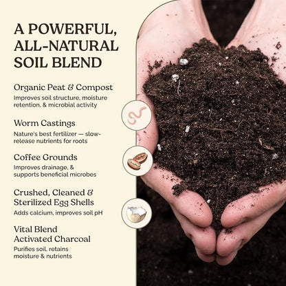 Garden Soil Supplement Mix, Potting Soil Outdoor Plants, Infused with Worm Castings & Vital Blend Activated Charcoal, All-Purpose Potting Soil for Vegetables and Plants, 10 lb Box