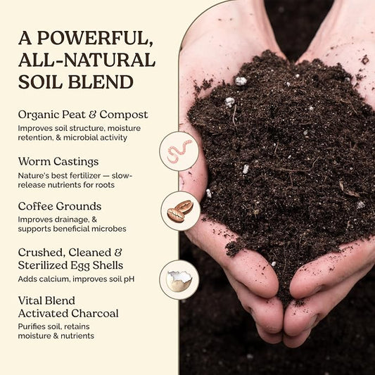 Garden Soil Supplement Mix, Potting Soil Outdoor Plants, Infused with Worm Castings & Vital Blend Activated Charcoal, All-Purpose Potting Soil for Vegetables and Plants, 10 lb Box