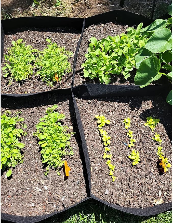 CJGQ Fabric Raised Garden Bed, 2Pack 8 Grids Plant Grow Bags, 3x6FT Breathable Planter Raised Beds for Growing Vegetables Potatoes Flowers, Rectangle Planting Container for Outdoor Gardening