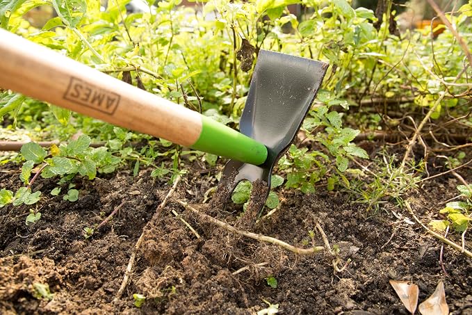 AMES 3-pc. Weeding Kit with Action Hoe, 2-Prong Hoe, and Weed Cutter