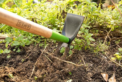 AMES 3-pc. Weeding Kit with Action Hoe, 2-Prong Hoe, and Weed Cutter