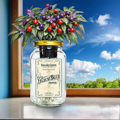Filius Blue Pepper Indoor Garden Kit – Mason Jar Hydroponic Pepper Grow Kit – Windowsill Countertop Ornamental Pepper Plant – Grow Peppers Indoors