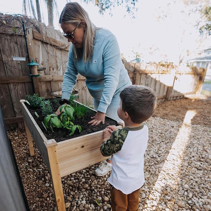 Backyard Expressions Wooden Raised Garden Bed|Elevated Planter Box with Included Bed Liner|Outdoor Vegetable, Flower, and Herb Gardening (4' x 2') | 30 in working height, 10 in deep box, 48 x 24 planting area, liner included, ideal for herbs vegetables...