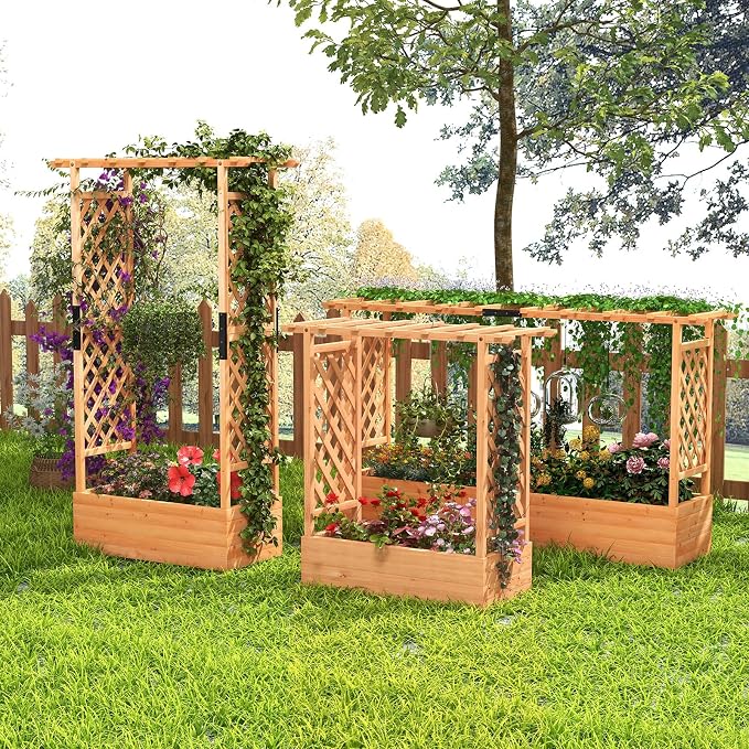 ORALNER Raised Garden Bed with Trellis, Wooden Planter Box with Climbing Frame, Outdoor Elevated Garden Box for Vegetables, Herbs, Flowers, Fruits (Medium)