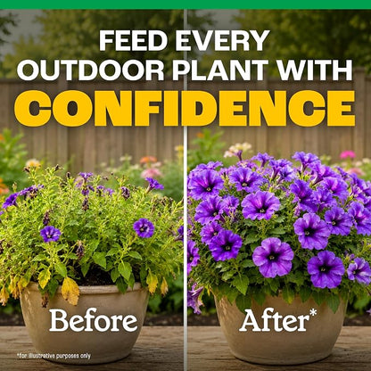 Pennington Easy-Dose Indoor Plant Food 2-3-2 16oz 32oz