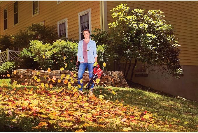 CRAFTSMAN V20 Cordless Axial Leaf Blower Kit, Includes 4.0 Ah Battery and Charger, 100 MPH and 380 CFM Clearing Power, Lightweight, 2 Speed Trigger (CMCBL700M1)
