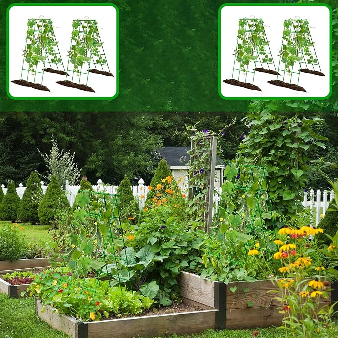 No Assembly Required Cucumber Trellis,2 Pack Trellis for Cucumbers,Outdoor Raised Bed Climbing Plant Support,A-Frame Garden Frame,Used for Vegetables,peas,Tomatoes,Squash,Melon and Fruit Frame