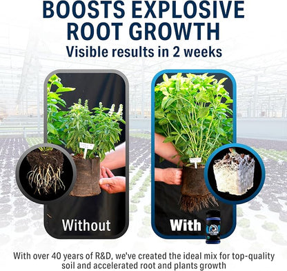 Great White Mycorrhizal Fungi 4 oz, Beneficial Bacteria for Plant Growth, Root Stimulator, Concentrated 3-in-1 Formula by Plant Success