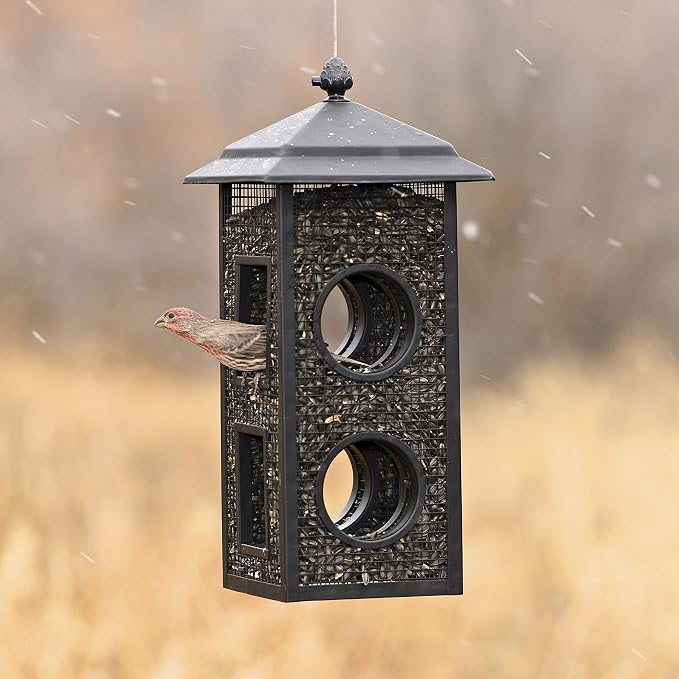 Perky-Pet Fly-Thru Wild Bird Feeder, 2 lb Seed Capacity | All-Metal Construction, Mesh Sides, Outdoor Hanging Feeder with Mesh Sides and Perch Stations