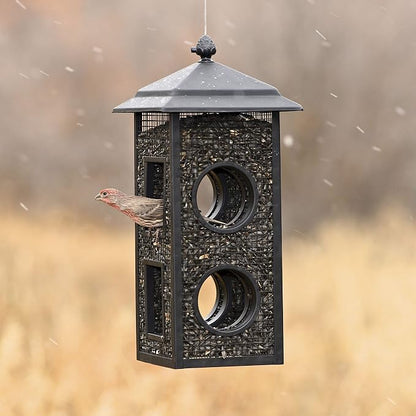 Perky-Pet Fly-Thru Wild Bird Feeder, 2 lb Seed Capacity | All-Metal Construction, Mesh Sides, Outdoor Hanging Feeder with Mesh Sides and Perch Stations