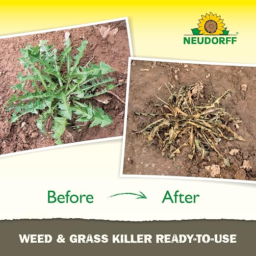Neudorff Weed and Grass Killer, See Results in 1 Hour: Kills Weeds – Roots and All, Fast Acting Brush and Vine Killer with Non-staining Formula; Rainfast in 3 Hours Ready-to-Use Spray (1 Gallon)