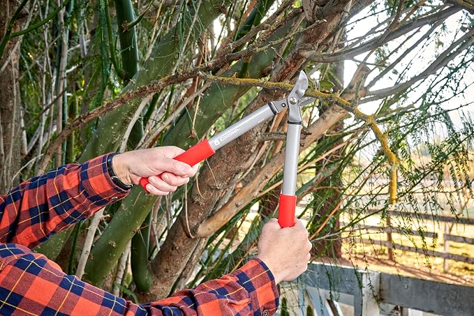 Corona Tools Forged Steel ClassicCUT Bypass Hand Pruner – 3/4-inch Cut Capacity Heavy-Duty Garden Pruning Shears for Tree, Shrub & Plant Trimming