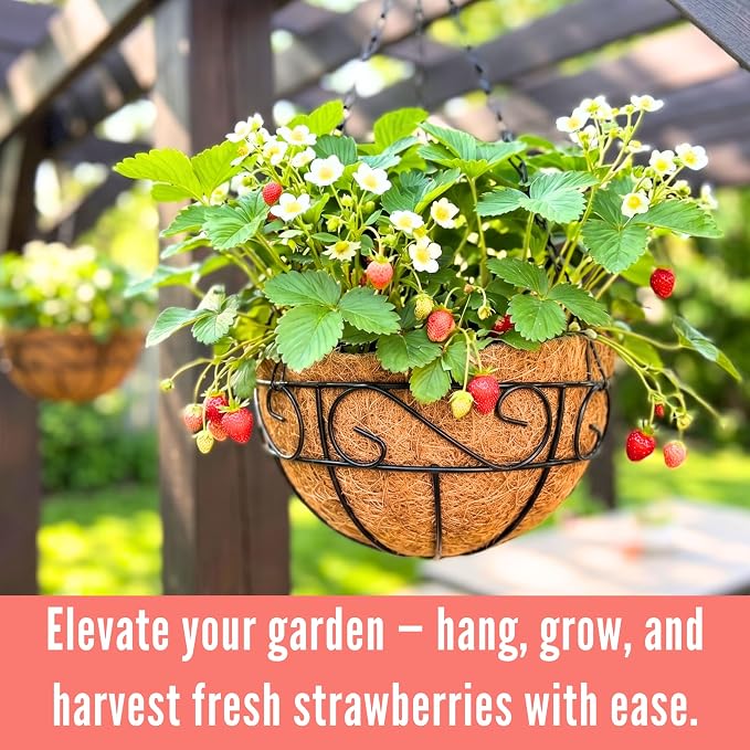 LaLaGreen Hanging Baskets for Plant Outdoor (18 Inch, 4 Pack) Large Black Metal Wire Hanging Planter with Coco Liner Round Flower Pot Hook Holder Hanger Deck Porch Country Modern Garden Balcony Decor