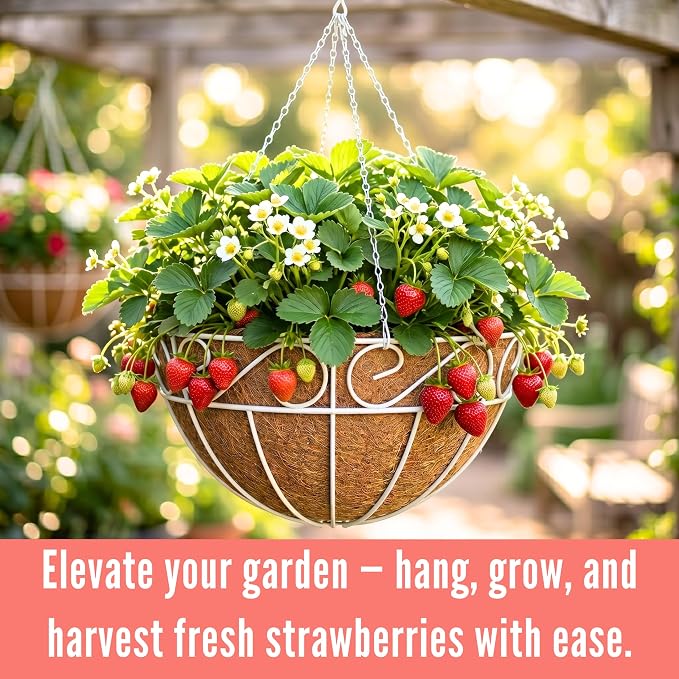 LaLaGreen Hanging Planter for Outdoor Plants (2 Pack, 12 Inch) White Hanging Baskets with Coco Liner, Metal Wire Flower Basket Pots with Hook Hanger Balcony Porch Farmhouse Country Style Garden Decor