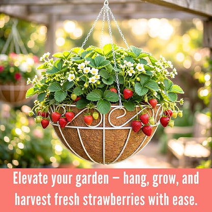 LaLaGreen Hanging Planter for Outdoor Plants (2 Pack, 12 Inch) White Hanging Baskets with Coco Liner, Metal Wire Flower Basket Pots with Hook Hanger Balcony Porch Farmhouse Country Style Garden Decor