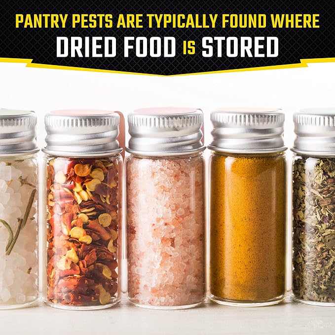 Black Flag Pantry Pest Trap 2 Count, Insect Traps, Safe For Use In Kitchens And Pantries