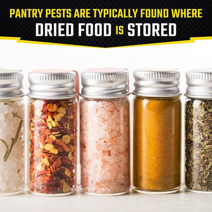 Black Flag Pantry Pest Trap 2 Count, Insect Traps, Safe For Use In Kitchens And Pantries