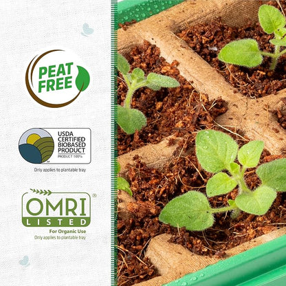 Back to The Roots 10-Cell Greenhouse Germination Kit | Includes Biodegradable Pots & Vented Greenhouse Lid | Made from 75% Recycled Plastic
