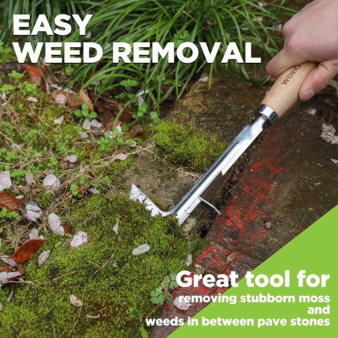 WORKPRO Crack Weeder, 12" Stainless Steel Crevice Weeding Tool Weeder Tool | Beech Wood Handle, L-Shaped Side-Walk Weed Puller Spatula, for Garden Lawn Yard Patio Terrace Paving Moss