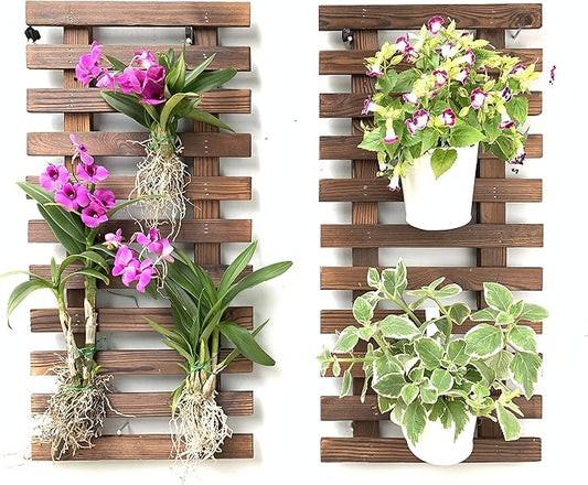 ShopLaLa Wall Planter (60cm, 2 Pack) Hanging Planters for Indoor Plants | Wall Mount Plant Stand Ladder Outdoor Vertical Garden Unique Live Orchid Planter Holder Display Large Wall Decor
