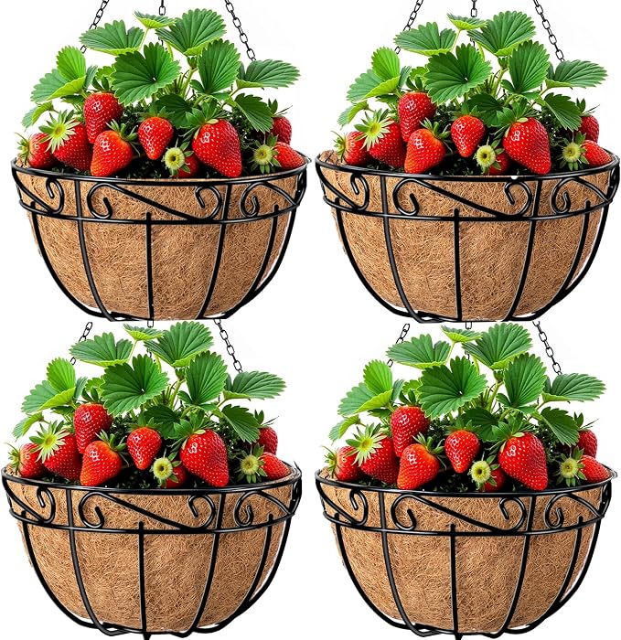 AMAGABELI GARDEN & HOME 4 Pack 12 Inch Metal Plant Hanging Baskets Planter Flower Pots Outdoor Indoor Wire Hanging Basket for Vegetable with Coco Fiber Liners for Garden Home Porch Decor