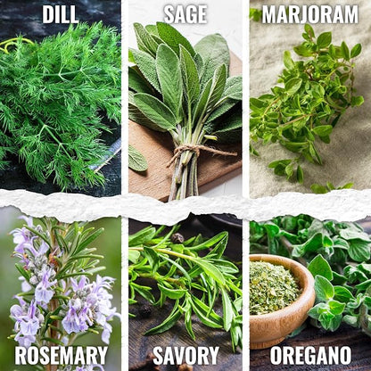 Seed Needs Herb Seeds Variety Pack Culinary Herb Collection (12 Individual Packets for Planting Indoors or Outdoors) Grow Your Own Herb Garden - Heirloom, Non-GMO