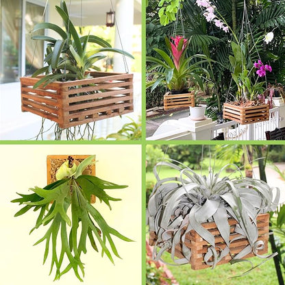Set of 3 Strong Teak Wood Orchid Baskets for Outdoors with Hangers, 1 is 10 Inches Wide, 1 is 8 Inches, 1 is 6 Inches, for Orchids, Staghorn Ferns, Orchid Gifts