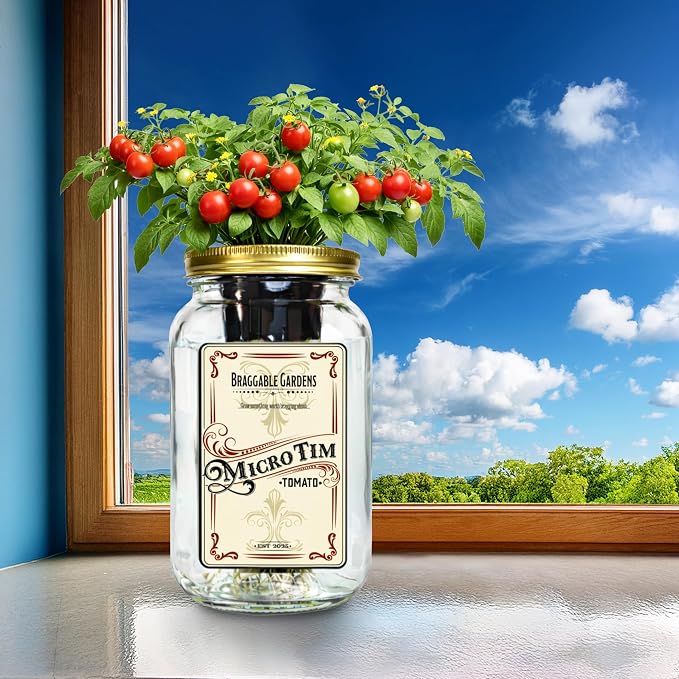 Micro Tim Cherry Tomato Indoor Garden Kit – Mason Jar Hydroponic Tomato Grow Kit – Windowsill Countertop Tomato Planter – Grow Tomatoes Indoors