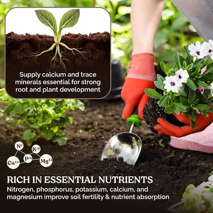 Garden Soil Supplement Mix, Potting Soil Outdoor Plants, Infused with Worm Castings & Vital Blend Activated Charcoal, All-Purpose Potting Soil for Vegetables and Plants, 25 lb Box