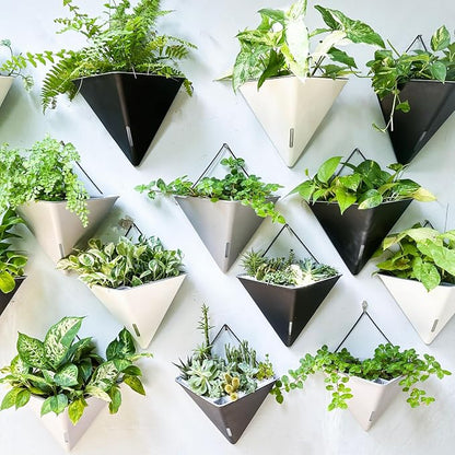 LaLaGreen Wall Planters for Indoor Plants (12in, 4 Pack) Hanging Planter | Large Self Watering White Geometric Flower Vessel with Metal Hanger, Modern Stylish Wall Mounted Succulent Pot Holder Décor