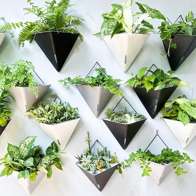 LaLaGreen Succulent Wall Planters (12in, 2 Pack) Large Self Watering Pots | Wall Hanging Planters for Indoor Plants Gray Wall Mount Triangle Geometric Flower Vase Black Metal Hanger Living Wall Decor