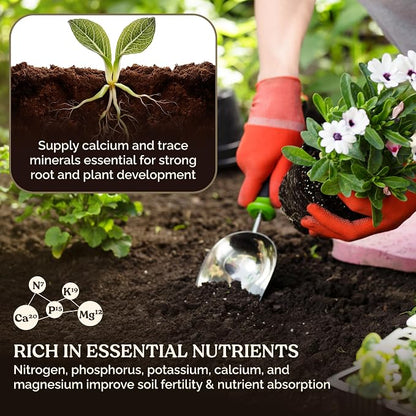 Garden Soil Supplement Mix, Potting Soil Outdoor Plants, Infused with Worm Castings & Vital Blend Activated Charcoal, All-Purpose Potting Soil for Vegetables and Plants, 10 lb Box