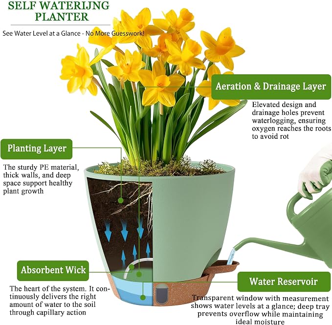 Self Watering Pots for Inoor Ourdoor Plants 8/7/6.5/6/5 Inch Plastic Planters with Drainage Holes & Water Level Indicator, Decorative House Flower Nursery Planting Pots with Saucers (Green)