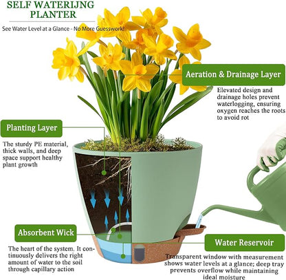 Self Watering Pots for Inoor Ourdoor Plants 8/7/6.5/6/5 Inch Plastic Planters with Drainage Holes & Water Level Indicator, Decorative House Flower Nursery Planting Pots with Saucers (Green)