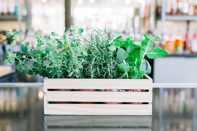 Wood Planter Box with Wine Crate Styled, 12x4 Inch Rectangular, Rose Wood, Plastic Liner, Garden Centerpiece Display, Wedding Flowers Holder, Home and Venue Decor (12x4 Wine Crate Set of 4, Rose Wood)