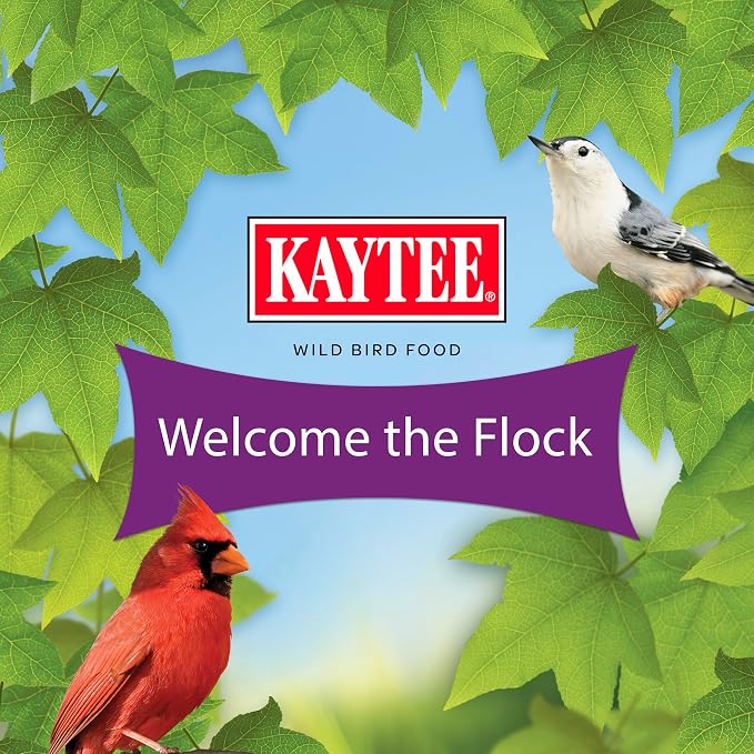Kaytee Nut & Fruit Wild Bird Seed, 5 lb
